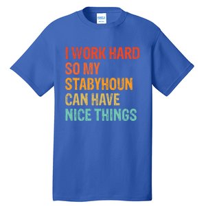 Work Hard So My Stabyhoun Can Have Nice Things Gift Tall T-Shirt