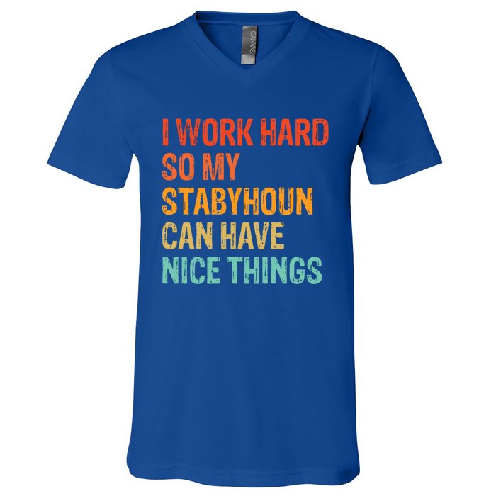 Work Hard So My Stabyhoun Can Have Nice Things Gift V-Neck T-Shirt