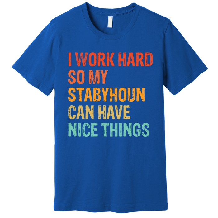 Work Hard So My Stabyhoun Can Have Nice Things Gift Premium T-Shirt