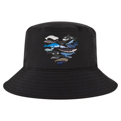 Whales Heart Shaped Marine Biologist Whale Lover Wildlife Cool Comfort Performance Bucket Hat