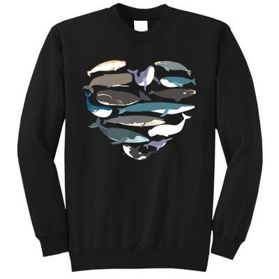 Whales Heart Shape Cute Ocean Mammals Whale Breeds Species Sweatshirt