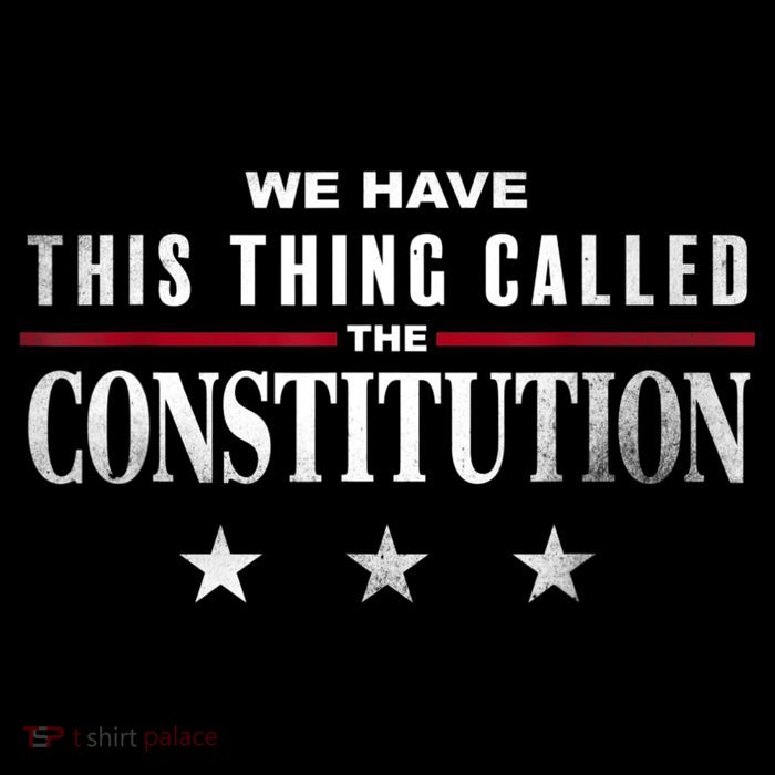 We Have This Thing Called The Constitution American Patriot Impact Tech Backpack