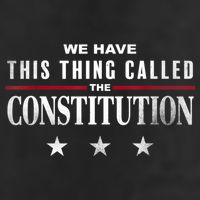 We Have This Thing Called The Constitution American Patriot Adult Drive Performance Visor
