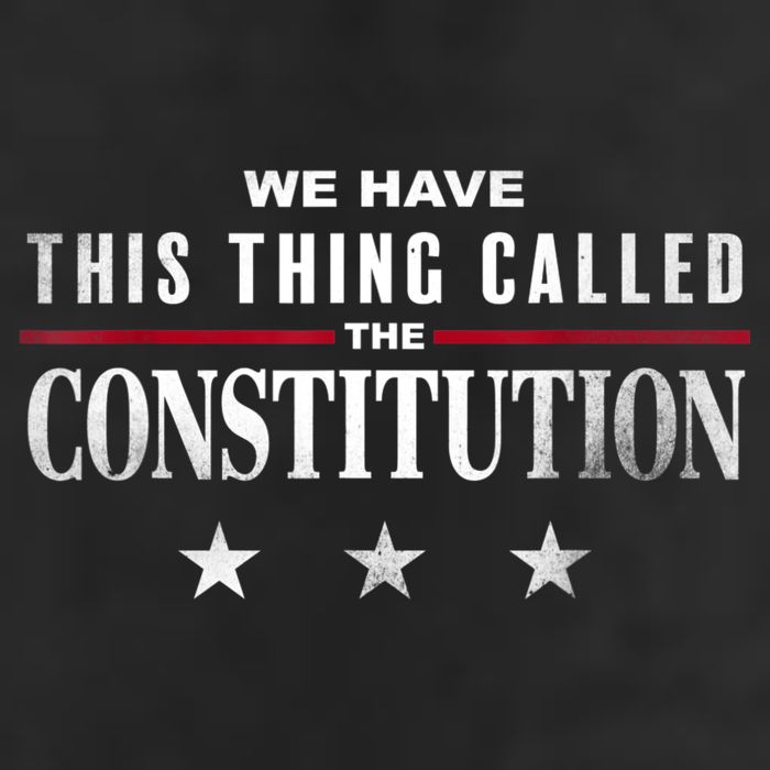 We Have This Thing Called The Constitution American Patriot Adult Drive Performance Visor