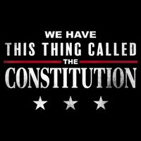 We Have This Thing Called The Constitution American Patriot Cooling Performance Long Sleeve Crew