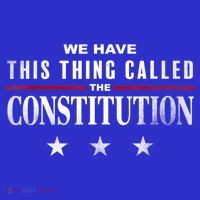We Have This Thing Called The Constitution American Patriot 16 in Basic Backpack