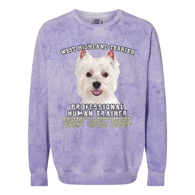 West Highland Terrier Westie Professional Human Trainer Colorblast Crewneck Sweatshirt