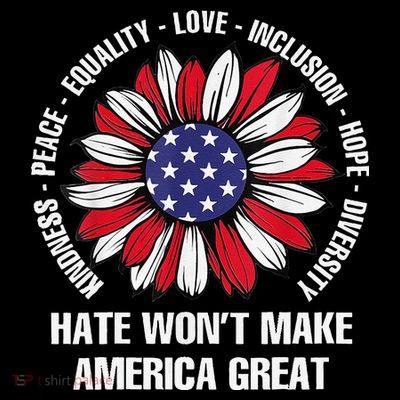 Women Hate Wont Make America Great Gift T-Shirt