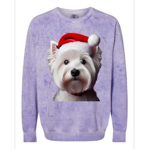 West Highland White Terrier With Santa Hat Christmas Dog Mom Gift Colorblast Crewneck Sweatshirt