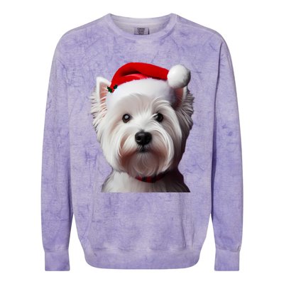 West Highland White Terrier With Santa Hat Christmas Dog Mom Gift Colorblast Crewneck Sweatshirt