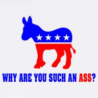 Why Are You Such An Ass? Anti Democrat Liberal - Pro Republican Funny Wool Snapback Cap