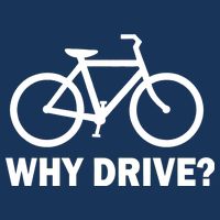 Why Drive? Flatbill Hat
