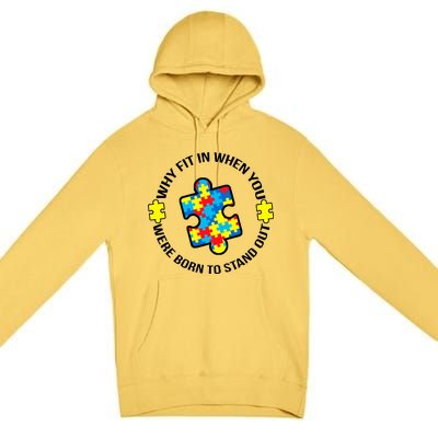 Why Fit In Autism Awareness Premium Pullover Hoodie