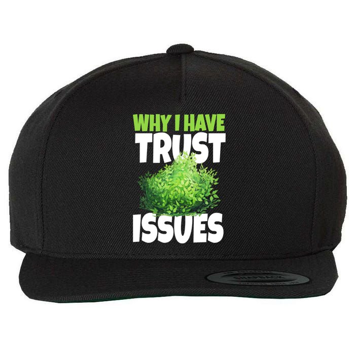 Why I Have Trust Issues Bush Camper Wool Snapback Cap