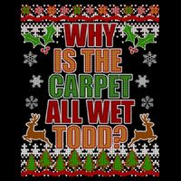 Why Is The Floor Wet Todd Ugly Christmas Hoodie