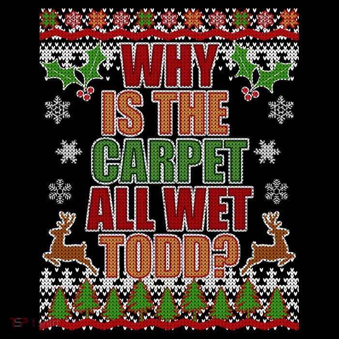 Why Is The Floor Wet Todd Ugly Christmas Womens T-Shirt