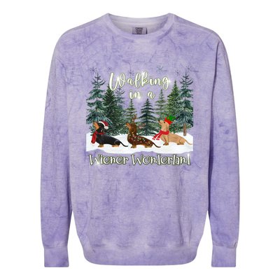 Walking In A Wiener Wonderland Dachshund Trio Funny Gift Colorblast Crewneck Sweatshirt