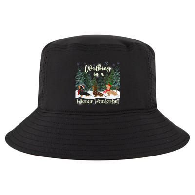 Walking In A Wiener Wonderland Dachshund Trio Funny Gift Cool Comfort Performance Bucket Hat