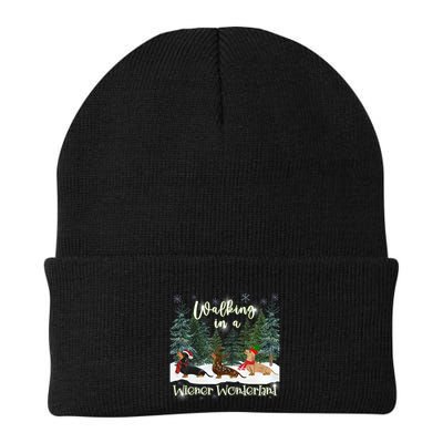 Walking In A Wiener Wonderland Dachshund Trio Funny Gift Beanie