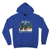 Walking In A Wiener Wonderland Dachshund Trio Funny Gift Hoodie