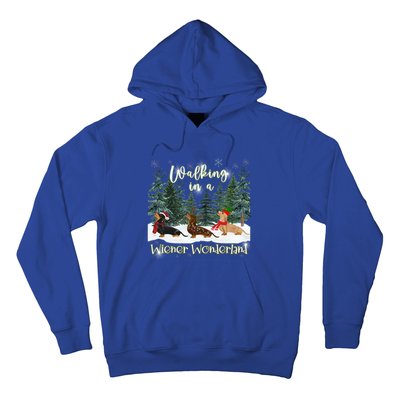 Walking In A Wiener Wonderland Dachshund Trio Funny Gift Hoodie