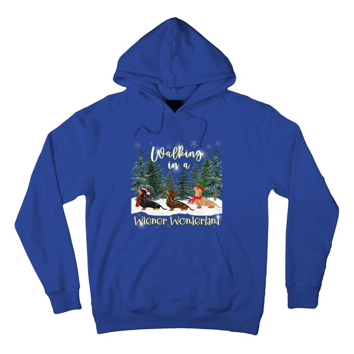 Walking In A Wiener Wonderland Dachshund Trio Funny Gift Hoodie