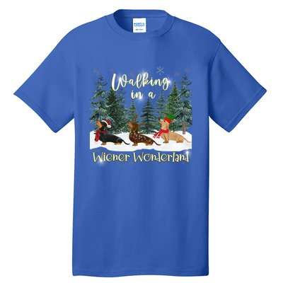 Walking In A Wiener Wonderland Dachshund Trio Funny Gift Tall T-Shirt