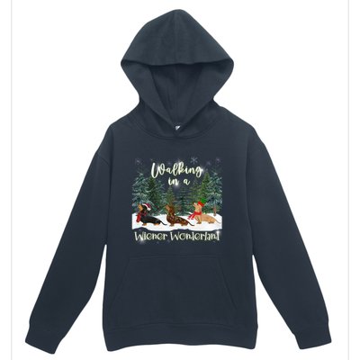 Walking In A Wiener Wonderland Dachshund Trio Funny Gift Urban Pullover Hoodie