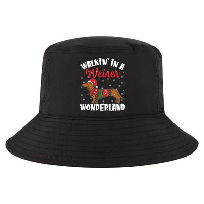 Walking In A Wiener Wonderland Funny Dachshund Christmas Cool Gift Cool Comfort Performance Bucket Hat