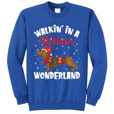 Walking In A Wiener Wonderland Funny Dachshund Christmas Cool Gift Sweatshirt