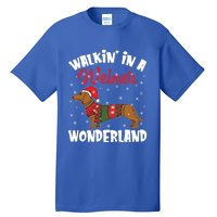 Walking In A Wiener Wonderland Funny Dachshund Christmas Cool Gift Tall T-Shirt