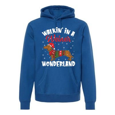 Walking In A Wiener Wonderland Funny Dachshund Christmas Cool Gift Premium Hoodie