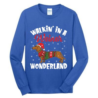 Walking In A Wiener Wonderland Funny Dachshund Christmas Cool Gift Tall Long Sleeve T-Shirt