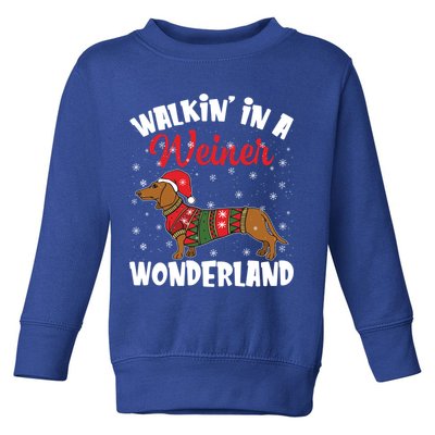 Walking In A Wiener Wonderland Funny Dachshund Christmas Cool Gift Toddler Sweatshirt