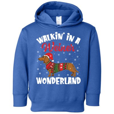 Walking In A Wiener Wonderland Funny Dachshund Christmas Cool Gift Toddler Hoodie