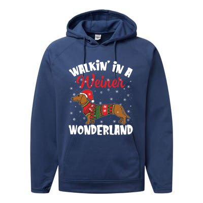 Walking In A Wiener Wonderland Funny Dachshund Christmas Cool Gift Performance Fleece Hoodie