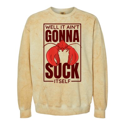 Well It AinT Gonna Suck Itself Cajun Crawfish Lover Colorblast Crewneck Sweatshirt