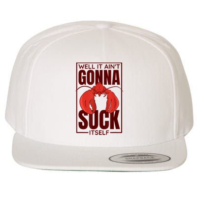 Well It AinT Gonna Suck Itself Cajun Crawfish Lover Wool Snapback Cap