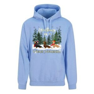 Walking In A Wiener Wonderland Dachshund Trio Gift Unisex Surf Hoodie