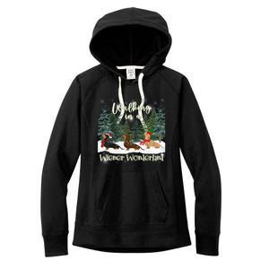 Walking In A Wiener Wonderland Dachshund Trio Gift Women's Fleece Hoodie