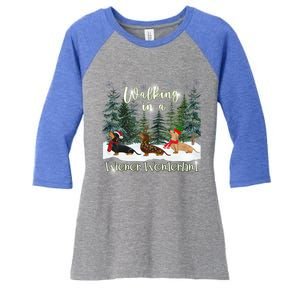 Walking In A Wiener Wonderland Dachshund Trio Gift Women's Tri-Blend 3/4-Sleeve Raglan Shirt