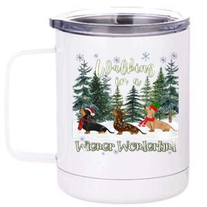 Walking In A Wiener Wonderland Dachshund Trio Gift 12 oz Stainless Steel Tumbler Cup