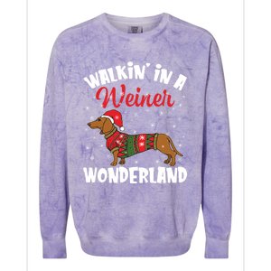 Walking In A Wiener Wonderland Funny Dachshund Christmas Cute Gift Colorblast Crewneck Sweatshirt