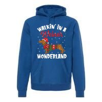 Walking In A Wiener Wonderland Funny Dachshund Christmas Cute Gift Premium Hoodie