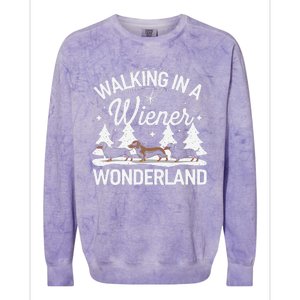 Walking In A Wiener Wonderland Dachshund Trio Dog Lover Xmas Colorblast Crewneck Sweatshirt