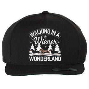 Walking In A Wiener Wonderland Dachshund Trio Dog Lover Xmas Wool Snapback Cap