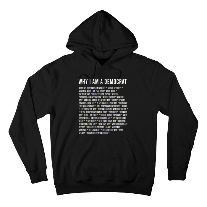 Why I Am A Democrat Cool Political Outfit For Democrats Hoodie