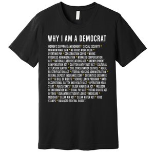 Why I Am A Democrat Cool Political Outfit For Democrats Premium T-Shirt