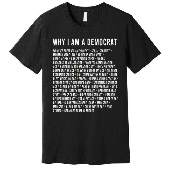 Why I Am A Democrat Cool Political Outfit For Democrats Premium T-Shirt