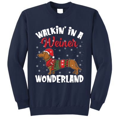 Walking In A Wiener Wonderland Funny Dachshund Christmas Tall Sweatshirt